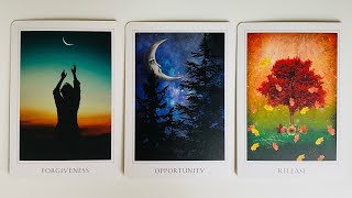 The Message You Need Right Now  Pick a Card  Timeless Tarot [upl. by Nicks]