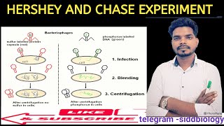 Hershey and Chase experiment [upl. by Yim]