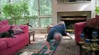 Dr Steven Levin Father of Biotensegrity 1 Arm Pushups [upl. by Winterbottom]