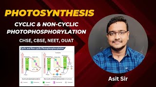 Cyclic amp Noncyclic Photophosphorylation asitbotany2107 [upl. by Nodal]