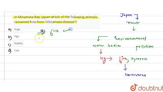 In Minamata Bay Japan which of the following animals remained free from quotMinamata diseasequot [upl. by Eleon651]