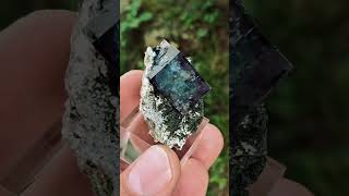 Fluorite on Chlorite bedrock from Yaogangxian China [upl. by Hpesoj206]