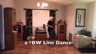 Line Dance  Stop and Drink  DEMO [upl. by Stargell446]