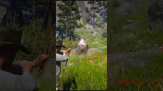 Can I Kill the Bear with a Bow rdr2 reddeadredemtion2 [upl. by Yonita]