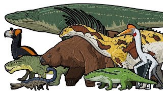 PREHISTORIC LIFE  Animated Size Comparison [upl. by Mark697]