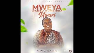 Mweya wangu rumbidza Mwari [upl. by Ycnuahc424]