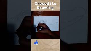 Crocodile Drawing 😍 Outline partAnasArtStudio ytshorts crocodile crocodiledrawing [upl. by Clardy]