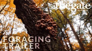 Mushroom Foraging  Trailer [upl. by Nallac]