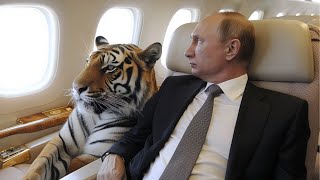 Comment Vladimir Poutine Voyage Secrètement [upl. by Pubilis805]