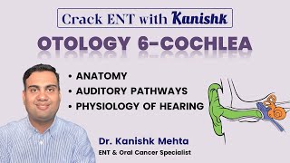 COCHLEA  HEARING  INNER EAR  PHYSIOLOGY OF HEARING  ANATOMY OF COCHLEA  DR KANISHK MEHTA [upl. by Vidal]