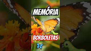 Borboletas Lembram Da Vida de Lagarta Depois da Metamorfose 🦋 🐛 curiosidades [upl. by Nagoh396]