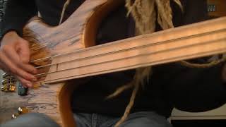 Cortex Napoleon Bass Fretless Grooves [upl. by Willey]