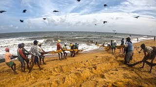 Amazing Seine Net Fishing In Rough Sea Hard Day For Fishermen But They Never Give Up 💪 [upl. by Harrow983]