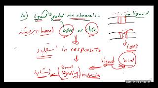 شرح Transport across the cell membrane 2 Ligandgated ion channels vs Voltagegated ion channels [upl. by Reinertson]