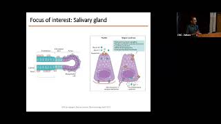 MANAGEMENT OF PRIMARY SJOGRENS DISEASE amp ANTIPHOSPHOLIPID SYNDROME  DR KOSHY NITHIN THOMAS RHC [upl. by Moon387]