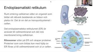 Cellens struktur [upl. by Chase]