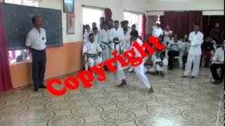 championat de karate a riviere des anguilles [upl. by Hsilgne]