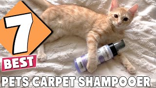 Solving Pet Messes 7 Best Carpet Shampooers You Need [upl. by Benoit158]