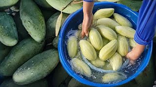 Amazing skill peeled mango  🇹🇭 street food thailand chiangmai [upl. by Shaun]