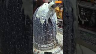 Mahakal  shiv dhun mahakal whatsappstatus shortfeed youtubeshorts shorts video viralshorts [upl. by Eugene]