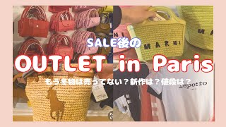 【Paris Vlog🇫🇷】SALE後のアウトレットへ！値段はどうなってる？2023新商品の値段は？アウトレットの後はお隣のディズニーランドパリへも🏰 [upl. by Rebak406]