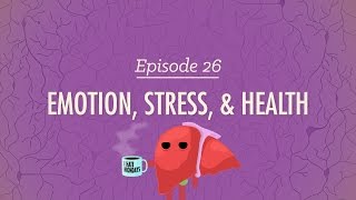 Emotion Stress and Health Crash Course Psychology 26 [upl. by Scornik]