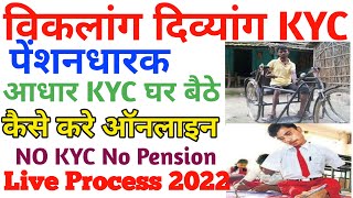 viklang pension kyc kaise kare विकलांग kyc कैसे करे 2022  viklang pension 2022  up [upl. by Joellyn]