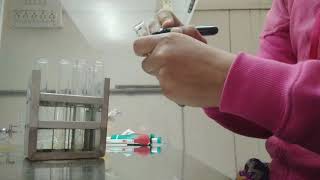 Isolation of microorganisms from soil  Microbiology laboratory [upl. by Yreved]