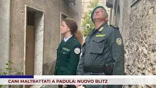 CRONACA CANI MALTRATTATI A PADULA NUOVO BLITZ [upl. by Haldan105]