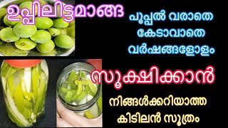 മാങ്ങഉപ്പിലിട്ടത്  വർഷങ്ങളോളം കേടാവില്ല പൂപ്പൽ വരില്ല  Manga Uppilittathu [upl. by Laekcim668]