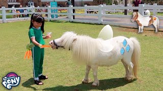 Yuk Kasih Makan Kuda Poni Mirip My Litte Pony  Mengenal Binatang Lucu [upl. by Eiddet]