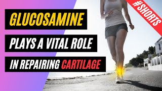 3 Types of Glucosamine shorts [upl. by Yelknirb]