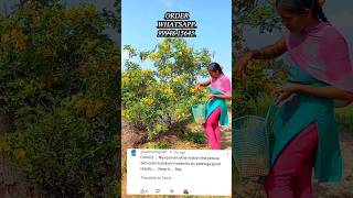 💫💥நீங்களும் இதை பயன்படுத்தி பாருங்க💚🥰🌱Natural facepack Ingredientsshorts viral girl ytshorts [upl. by Leinadnhoj]