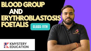 body fluid and circulation blood group and Erythroblastosis foetalisby vikas pandey [upl. by Narok313]