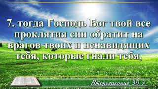 ВидеоБиблия Книга Второзаконие без музыки глава 30 Соколов [upl. by Flan]