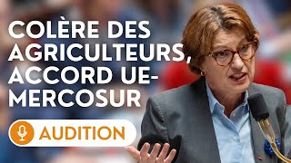 🔴 Audition de la ministre de l’agriculture sur l’opposition française à l’accord UEMercosur [upl. by Harima181]