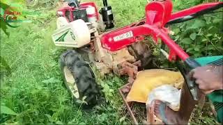 VST 130 DI Power tiller with 5 tyne cultivator  Remove bush and heavy grass by 5 tyne cultivator [upl. by Northrup189]