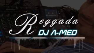 Reggada Music Mariage 2019 100  DJ AMED [upl. by Ecilef]