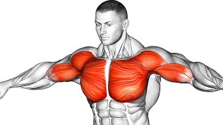 HOW TO BUILD A PERFECT CHEST AT HOME [upl. by Donohue]