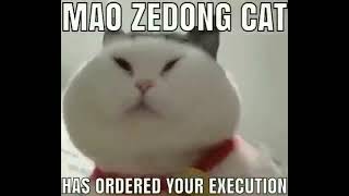 Mao zedong cat has ordered your execution [upl. by Areikahs13]