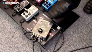 Peter Hayes creates his quotNice Tryquot Loop for Ditto X2 Looper [upl. by Stark]