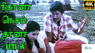 Ninaivo Oru Paravai  Video Song  நினைவோ ஒரு பறவை Sigappu Rojakkal  Kamal Haasan  Ilaiyaraaja [upl. by Harmonie]