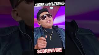 ALFREDO LARICO 🎶✨SOBREVIVIRE🎶✨ musica mixto music cumbion amor huayno envivo agrupacion [upl. by Sihtam]