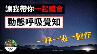 動態呼吸：如何通過“一呼一吸一動作”獲得可持續的精力充沛？讓身體跟隨呼吸的律動，打通脈輪，順應宇宙的頻率  睡眠不足，白天精力有限，怎麼辦？Dynamic Respiratory Awareness [upl. by Aneram]