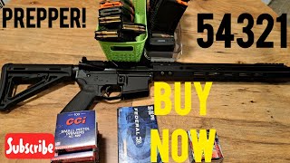 Buy these 5 gun items now Prepping For Gun And Ammo Shortage [upl. by Eimia]