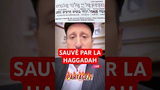 PRIER ICI DANS LA HAGGADAH Pessah Seder rav torah talmud cohensolal  rabbi shorts [upl. by Gerlac]