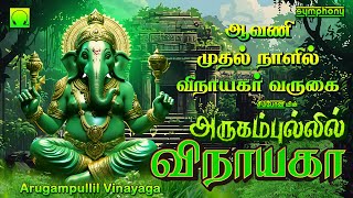 ஆவணி முதல் நாளில் விநாயகர் வருகை  அருகம்புல்லில் விநாயகா  ArugamPullil Vinayaga  Vinayagar Songs [upl. by Saul704]