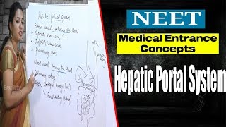 NEET Medical Entrance Concepts  Hepatic Portal System  Best Online Classes  Best Tutor [upl. by Peregrine]