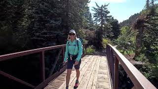 Awesome Hike Near Pagosa Springs CO Piedra River Trail [upl. by Ciri]