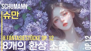 슈만 8개의 환상 소품 op12  8 Fantasiestücke op12 [upl. by Nyrmak]